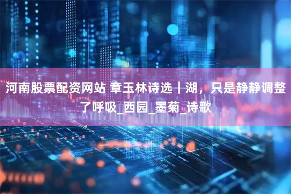 河南股票配资网站 章玉林诗选｜湖，只是静静调整了呼吸_西园_墨菊_诗歌