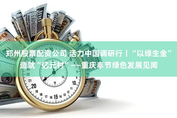 郑州股票配资公司 活力中国调研行丨“以绿生金”造就“亿元村”——重庆奉节绿色发展见闻
